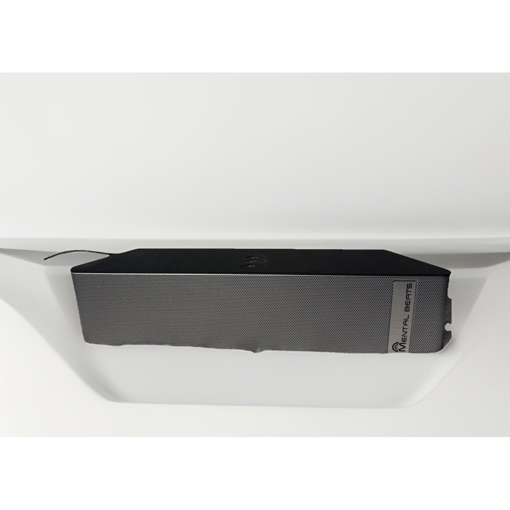 Mental Beats Bluetooth Speaker Model: Harmony W/ Aux
